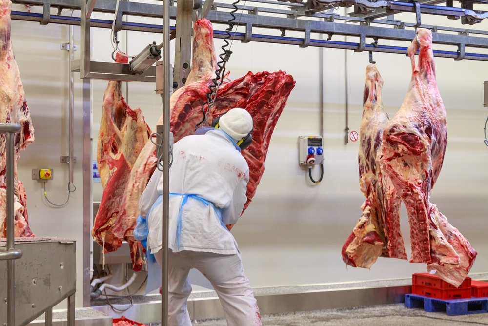 Worker using a pneumatic circular saw in a meat processing facility